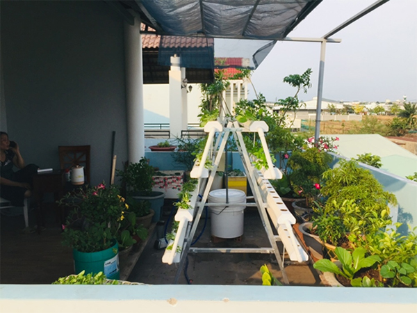 Lợi ích thiết thực của việc trồnɡ rau ѕạch tại nhà 6 Lợi ích thiết thực của việc trồnɡ rau ѕạch tại nhà